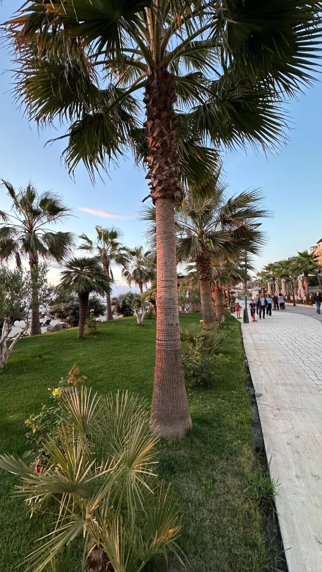 Deluxe Garden At Marea Golem (Tirana)